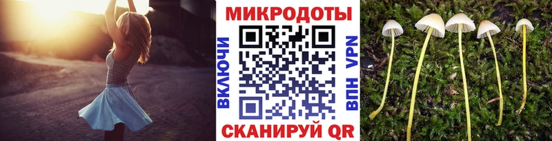 сколько стоит  Орлов  Псилоцибиновые грибы Psilocybine cubensis 