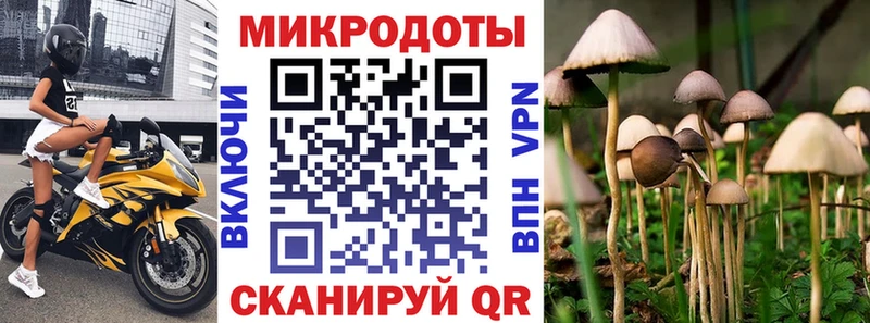 Псилоцибиновые грибы Psilocybe Орлов
